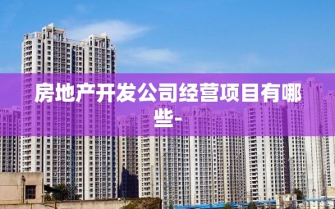 房地产开发公司经营项目有哪些-