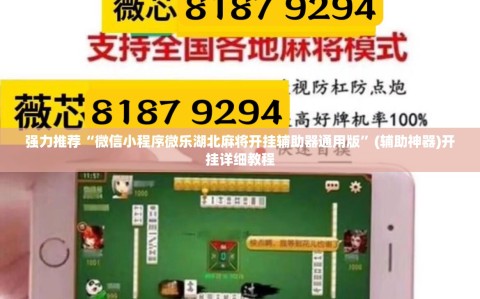 强力推荐“微信小程序微乐湖北麻将开挂辅助器通用版”(辅助神器)开挂详细教程