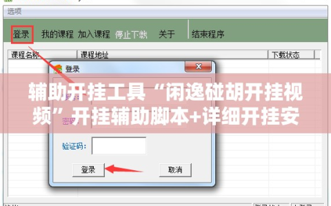 辅助开挂工具“闲逸碰胡开挂视频”开挂辅助脚本+详细开挂安装教程