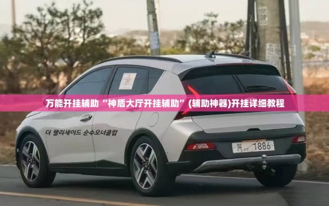 万能开挂辅助“神盾大厅开挂辅助”(辅助神器)开挂详细教程