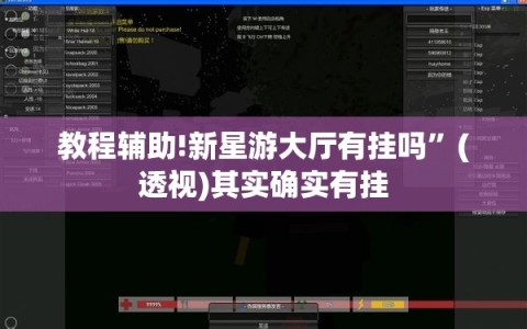 教程辅助!新星游大厅有挂吗”(透视)其实确实有挂