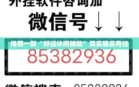 推荐一款“好运休闲辅助”其实确实有挂