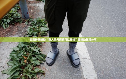 实测神器辅助“真人天天麻将可以开挂”细辅助教程分享