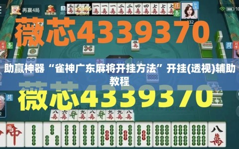 助赢神器“雀神广东麻将开挂方法”开挂(透视)辅助教程
