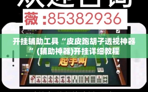 开挂辅助工具“皮皮跑胡子透视神器”(辅助神器)开挂详细教程
