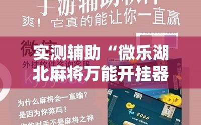 实测辅助“微乐湖北麻将万能开挂器”科技辅助神器手机版