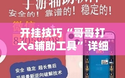 开挂技巧“哥哥打大a辅助工具”详细外挂透视辅助软件教程