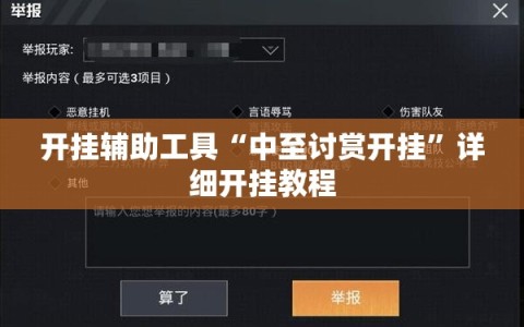开挂辅助工具“中至讨赏开挂”详细开挂教程
