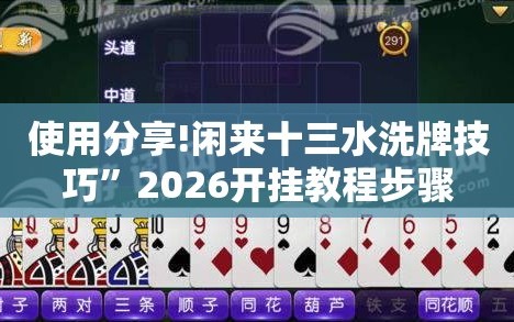 使用分享!闲来十三水洗牌技巧”2026开挂教程步骤