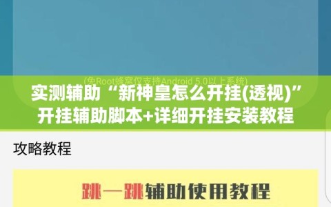 实测辅助“新神皇怎么开挂(透视)”开挂辅助脚本+详细开挂安装教程