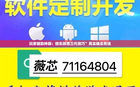 玩家辅助神器：微乐陕西三代技巧”其实确实有挂