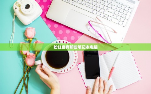 粉红色有那些笔记本电脑