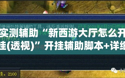 实测辅助“新西游大厅怎么开挂(透视)”开挂辅助脚本+详细开挂安装教程