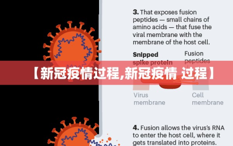 【新冠疫情过程,新冠疫情 过程】