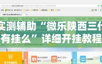 实测辅助“微乐陕西三代有挂么”详细开挂教程
