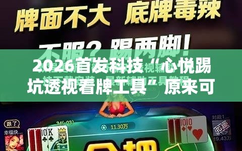 2026首发科技“心悦踢坑透视看牌工具”原来可以开挂