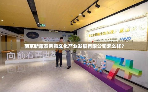 南京新康泰创意文化产业发展有限公司怎么样？