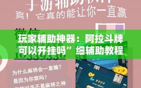 玩家辅助神器：阿拉斗牌可以开挂吗”细辅助教程分享