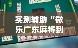 实测辅助“微乐广东麻将到底有没有挂”详细分享装挂步骤