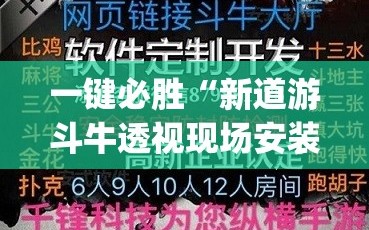 一键必胜“新道游斗牛透视现场安装”(透视挂)辅助下载教程