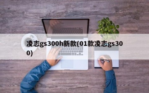 凌志gs300h新款(01款凌志gs300)