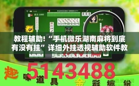 教程辅助!“手机微乐湖南麻将到底有没有挂”详细外挂透视辅助软件教程