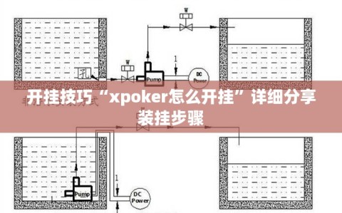 开挂技巧“xpoker怎么开挂”详细分享装挂步骤