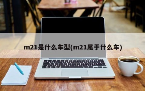 m21是什么车型(m21属于什么车)
