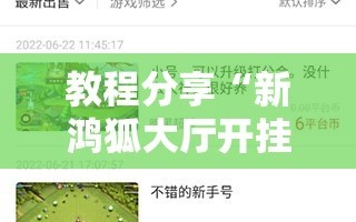 教程分享“新鸿狐大厅开挂辅助软件”其实确实有挂
