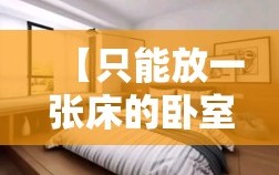 【只能放一张床的卧室图,只能放一张床的卧室图片】