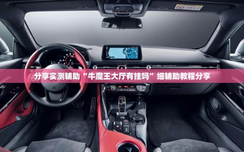 分享实测辅助“牛魔王大厅有挂吗”细辅助教程分享