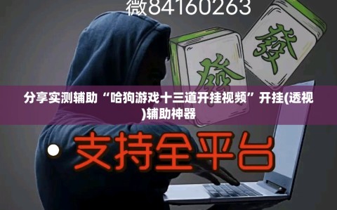 分享实测辅助“哈狗游戏十三道开挂视频”开挂(透视)辅助神器