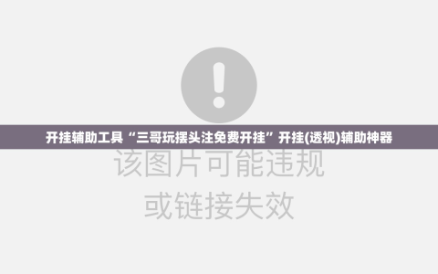 开挂辅助工具“三哥玩摆头注免费开挂”开挂(透视)辅助神器