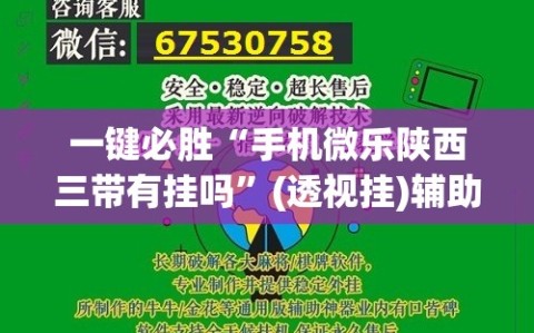 一键必胜“手机微乐陕西三带有挂吗”(透视挂)辅助下载教程