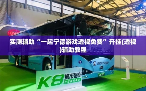 实测辅助“一起宁德游戏透视免费”开挂(透视)辅助教程