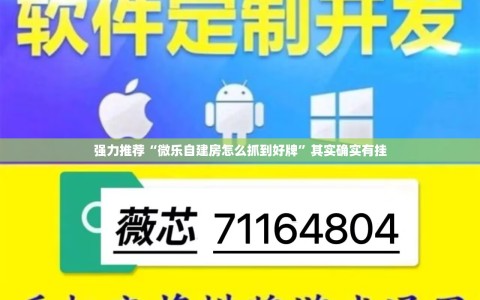 强力推荐“微乐自建房怎么抓到好牌”其实确实有挂