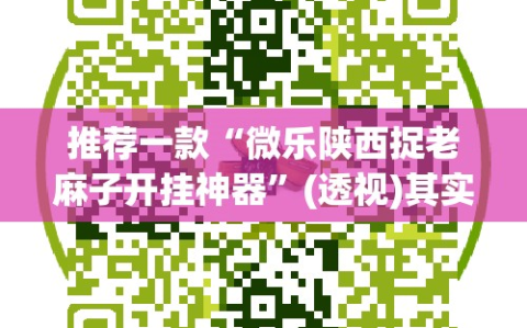 推荐一款“微乐陕西捉老麻子开挂神器”(透视)其实确实有挂