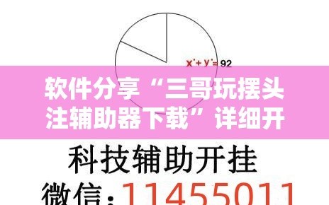 软件分享“三哥玩摆头注辅助器下载”详细开挂教程