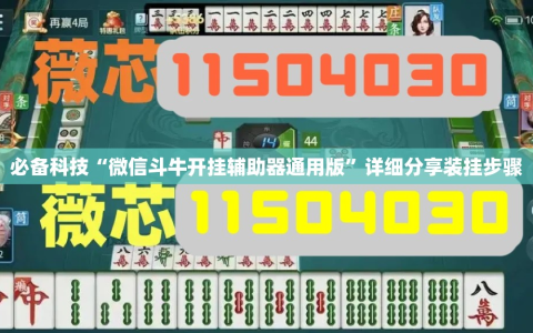 必备科技“微信斗牛开挂辅助器通用版”详细分享装挂步骤