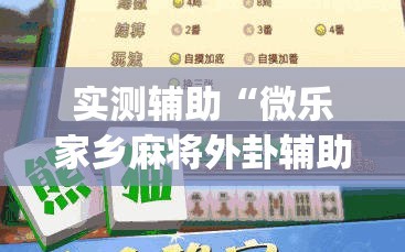 实测辅助“微乐家乡麻将外卦辅助软件下载”开挂(透视)辅助神器