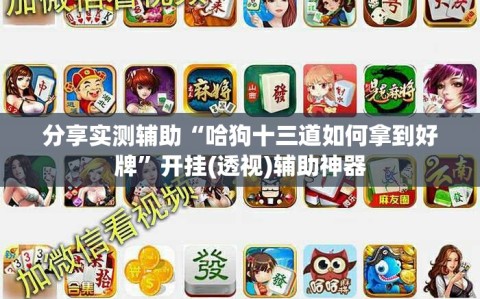 分享实测辅助“哈狗十三道如何拿到好牌”开挂(透视)辅助神器