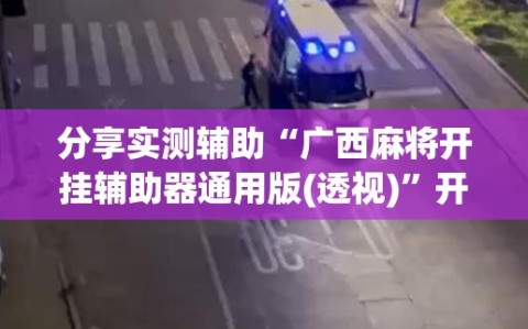 分享实测辅助“广西麻将开挂辅助器通用版(透视)”开挂辅助脚本+详细开挂安装教程