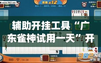 辅助开挂工具“广东雀神试用一天”开挂(透视)辅助教程