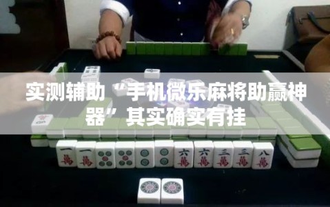 实测辅助“手机微乐麻将助赢神器”其实确实有挂