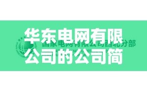 华东电网有限公司的公司简介