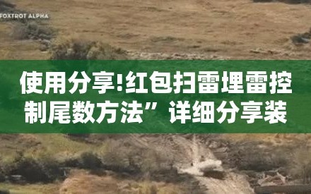 使用分享!红包扫雷埋雷控制尾数方法”详细分享装挂步骤