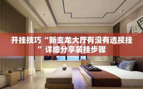 开挂技巧“新玄龙大厅有没有透视挂”详细分享装挂步骤