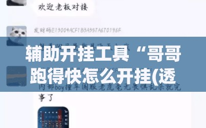 辅助开挂工具“哥哥跑得快怎么开挂(透视)”开挂辅助脚本+详细开挂安装教程