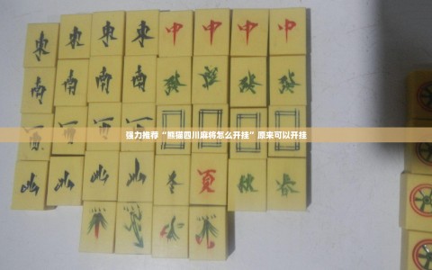 强力推荐“熊猫四川麻将怎么开挂”原来可以开挂