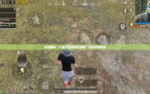 实测辅助“人皇大厅如何开透视”开挂详细教程